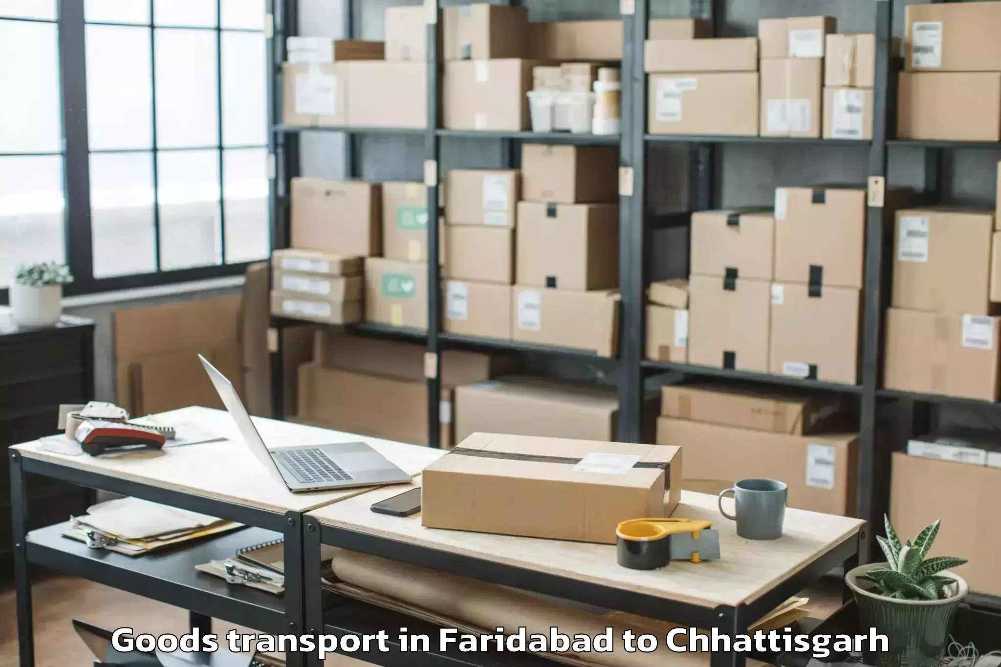 Affordable Faridabad to Kurud Goods Transport